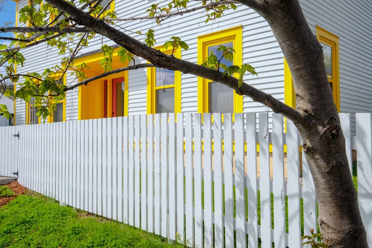 A white heritage house with bright yellow trim windows and a vibrant red door. There's a white picket fence in the front of the building and a large chestnut tree. The house and fence are made of wood